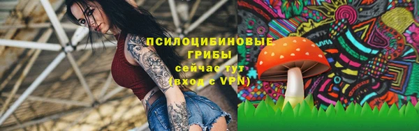 синтетический гашиш Богородицк