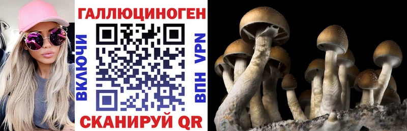 Купить где  Железногорск-Илимский  Псилоцибиновые грибы прущие грибы 